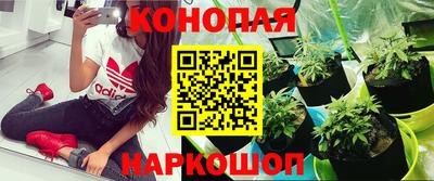 ешки Славгород