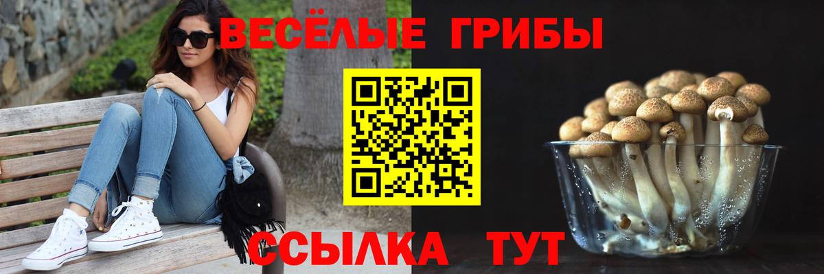 Псилоцибиновые грибы Psilocybine cubensis  наркошоп  Родники  Вход с VPN  Галлюциногенные грибы мицелий 